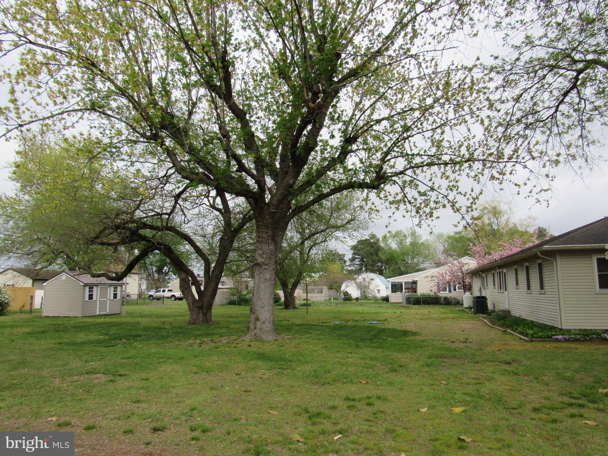 Laurel, DE 19956,205 LEWIS DR
