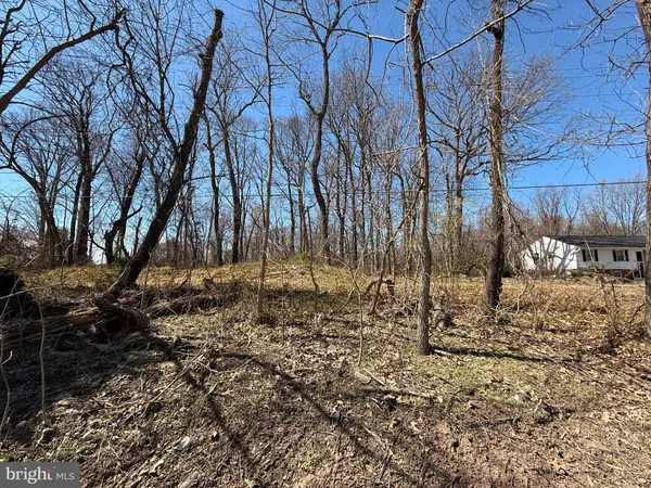 Gainesville, VA 20155,4524 LOGMILL RD