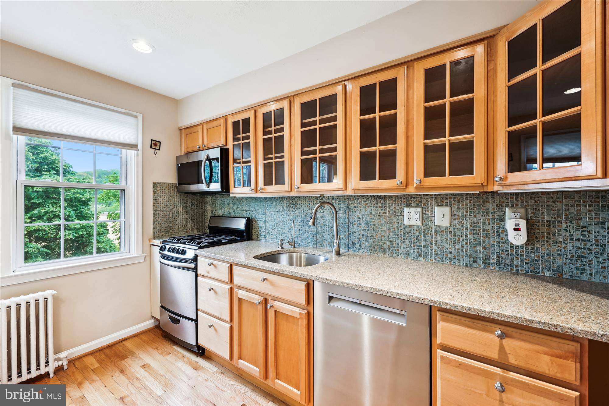 Silver Spring, MD 20910,2406 COLSTON DR #202
