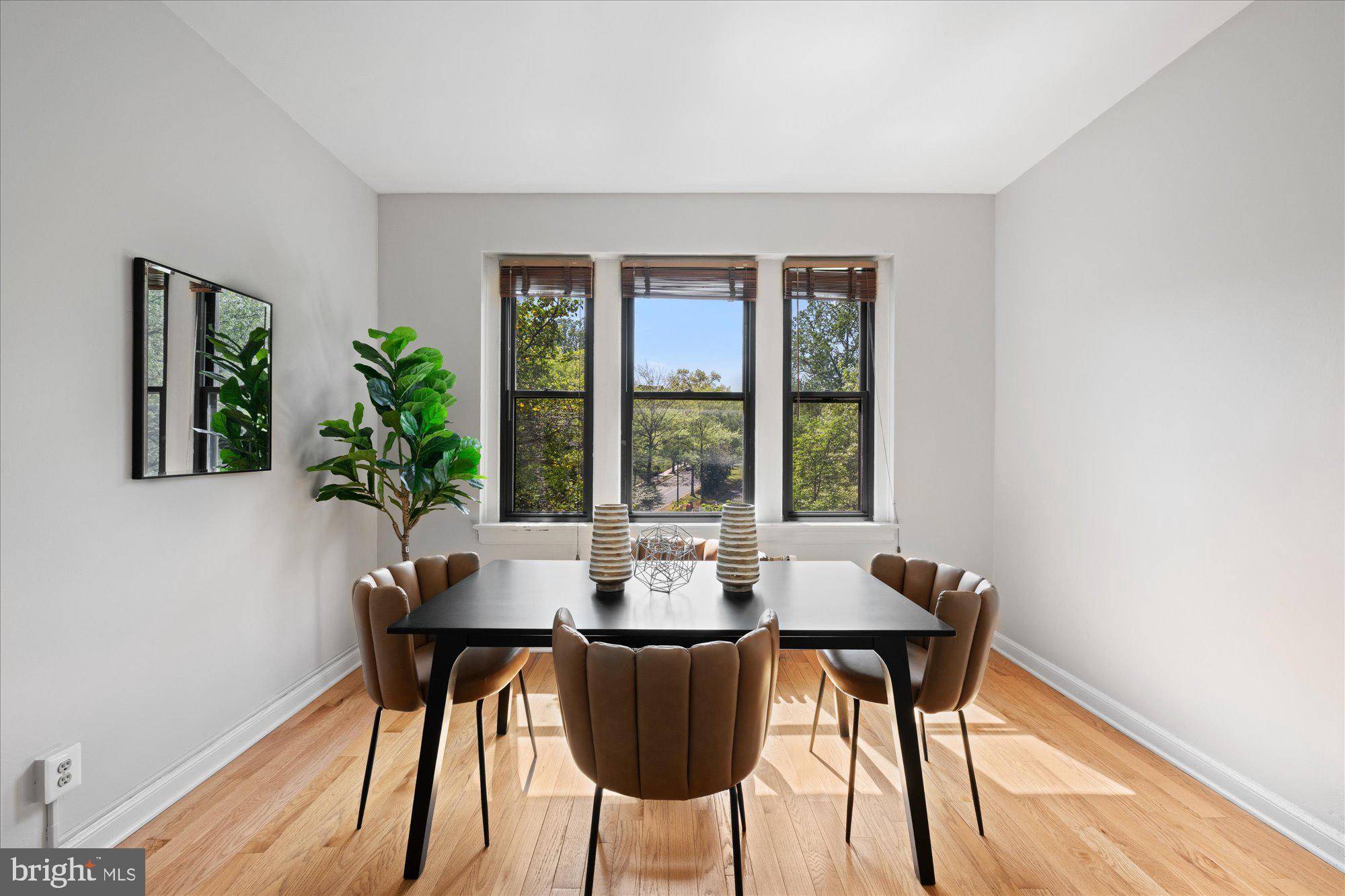 Washington, DC 20008,4007 CONNECTICUT AVE NW #302
