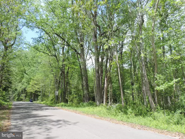 LOT 12 SAINT PAULS ROAD, King George, VA 22485