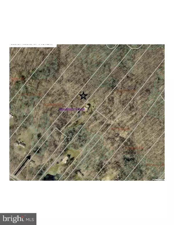 Townsend, DE 19734,583 BLACKBIRD LANDING RD