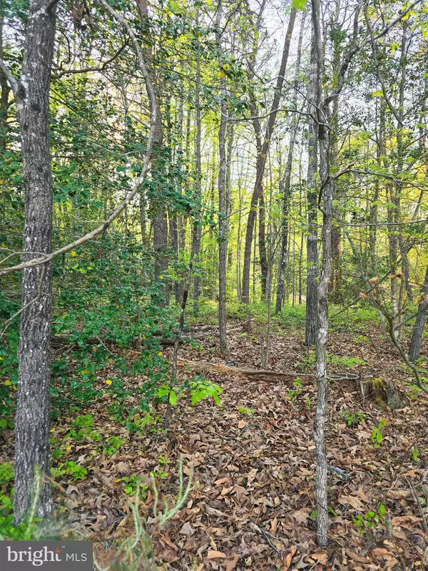 Ruther Glen, VA 22546,LOT 16 TAX ID 94A-2 B-16 JENNINGS DR