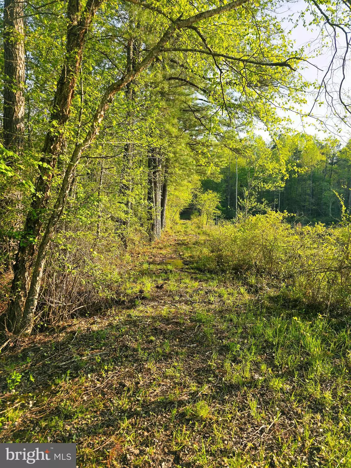 Ruther Glen, VA 22546,LOT 16 TAX ID 94A-2 B-16 JENNINGS DR