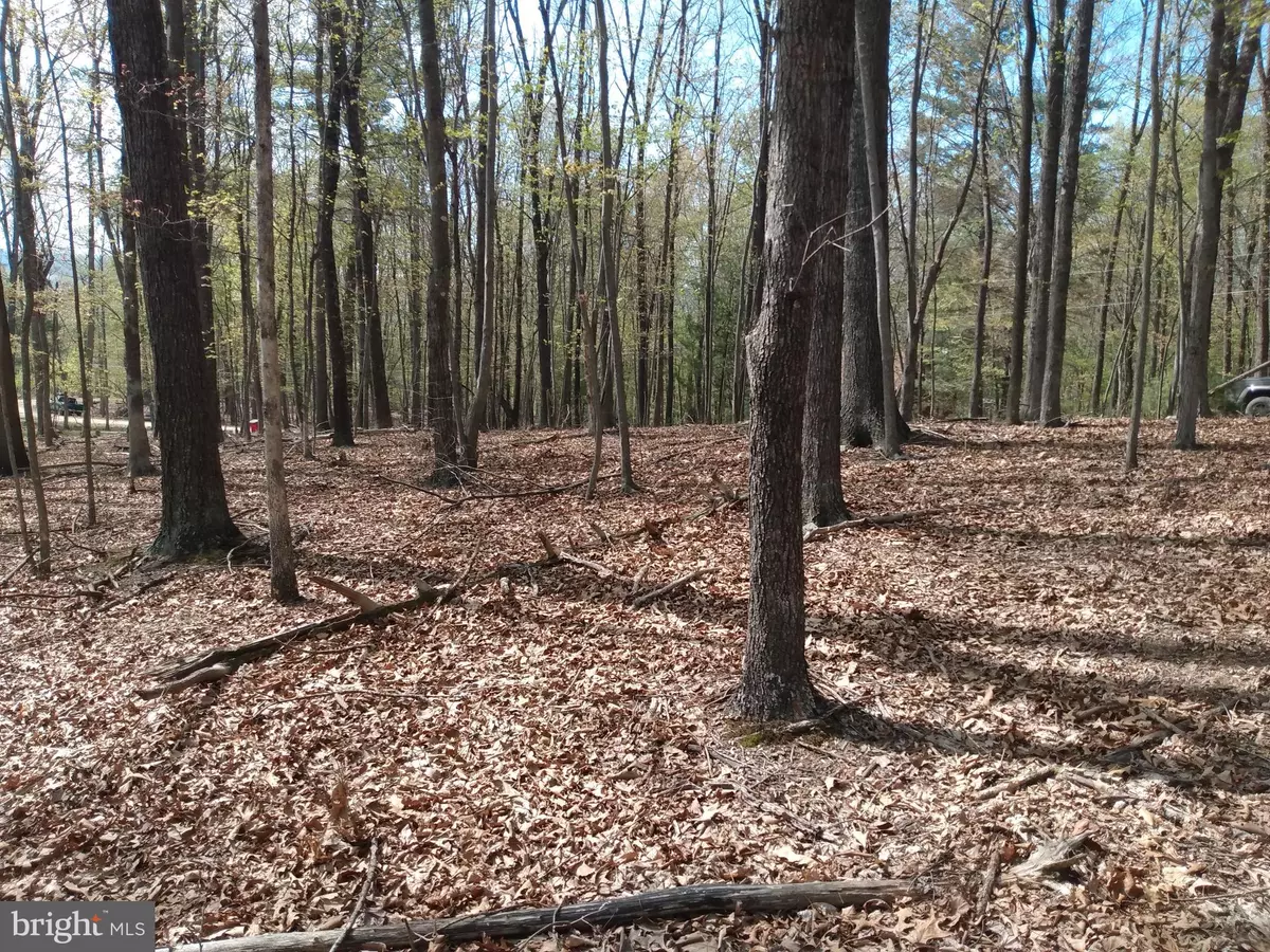 Berkeley Springs, WV 25411,LOT 50 BIRCH GROVE LANE