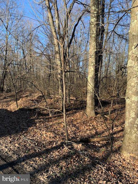 Clarence, PA 16829,0 LITTLE WOLF RD