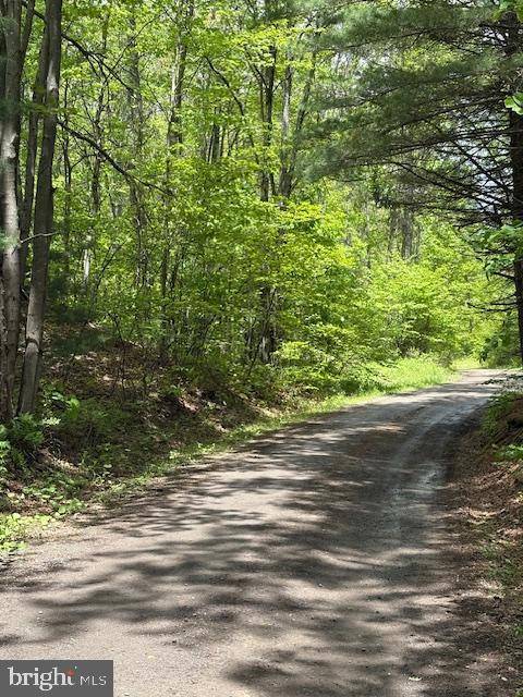 Clarence, PA 16829,0 LITTLE WOLF RD