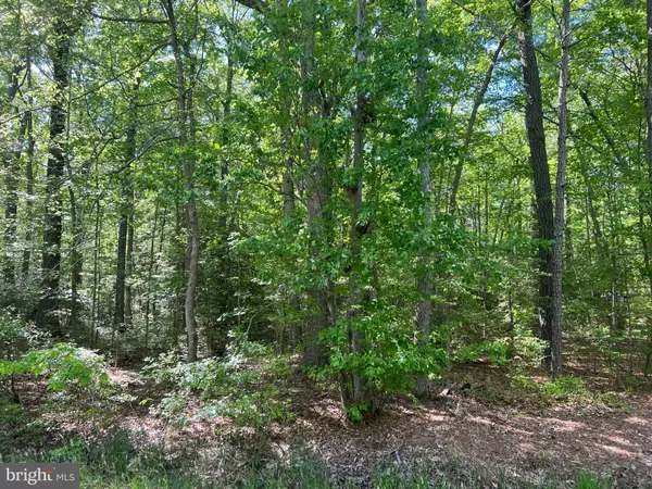 Gloucester, VA 23061,LOT 217 WARE NECK RD