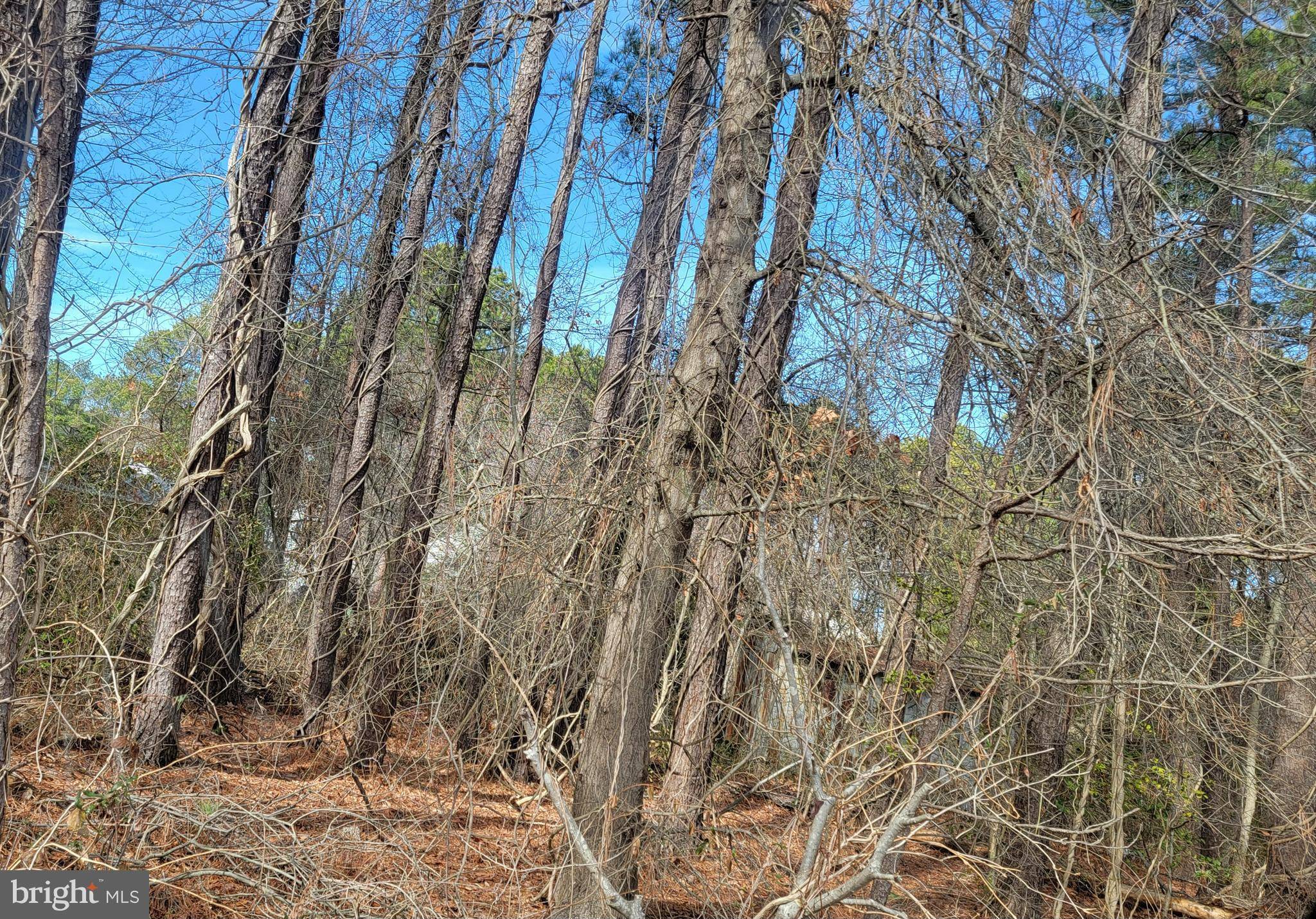 Tall Timbers, MD 20690,LOT13,15,17 3RD STREET