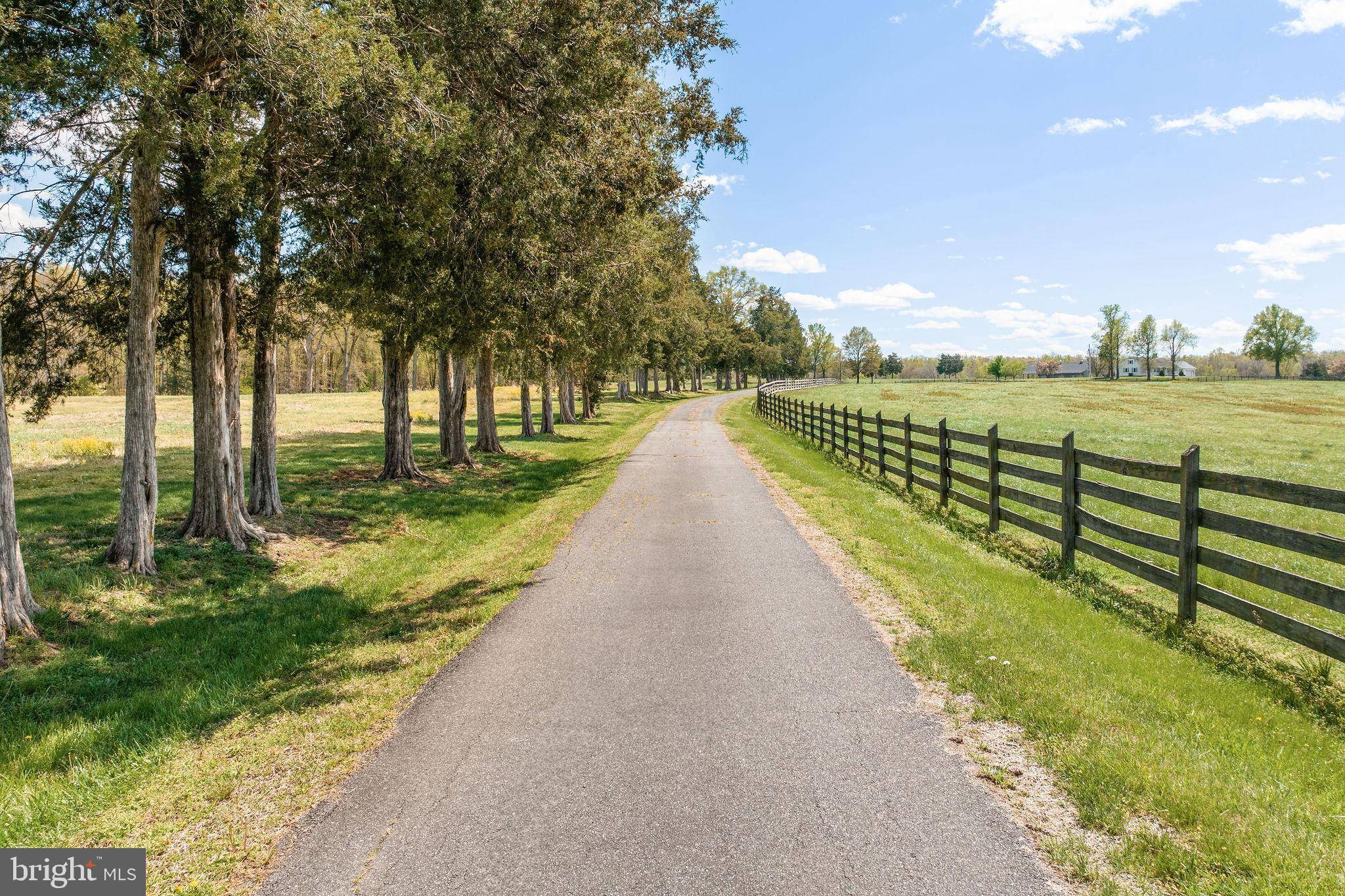 Scottsville, VA 24590,8371 LANGHORNE RD