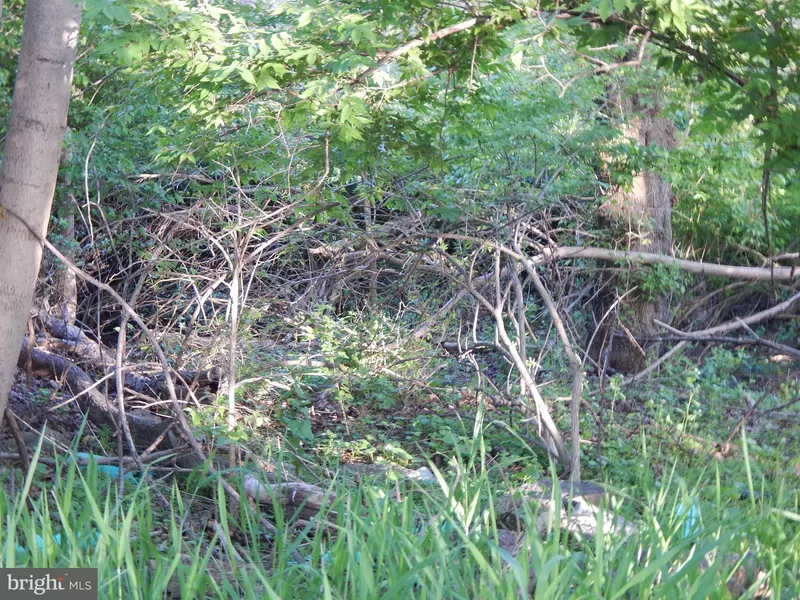 LOT 92 SIEBERT ST, Martinsburg, WV 25404