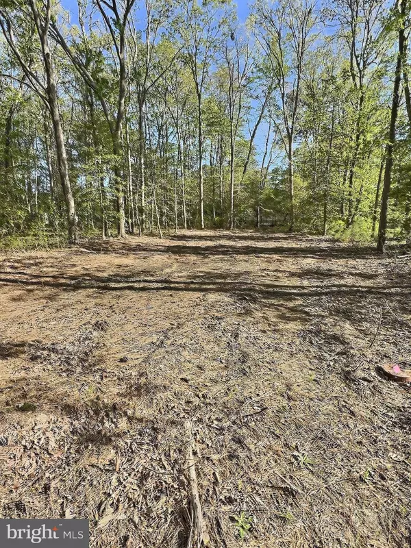 Frankford, DE 19945,0 SHADY DELL PARK / BIRCH