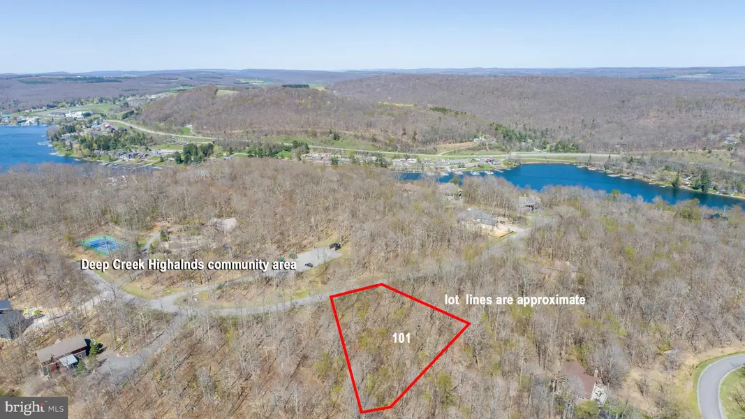 101 DEEP CREEK HIGHLANDS RD, Mc Henry, MD 21541