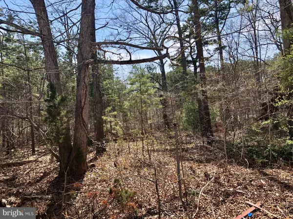 Galloway, NJ 08205,45 WHITE HORSE PIKE