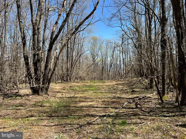 Central City, PA 15926,LOT 162 SHAWNEE VIEW ROAD
