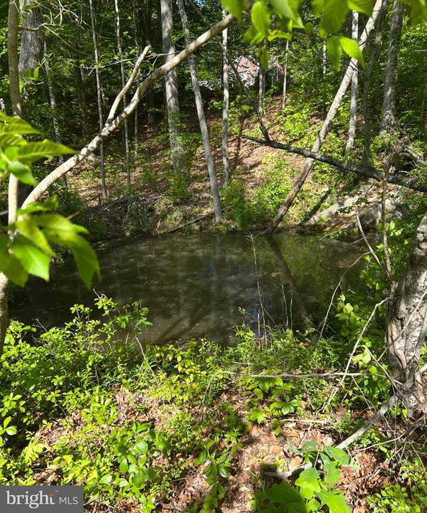 LOT 3 WALLACE STREET, Warsaw, VA 22572