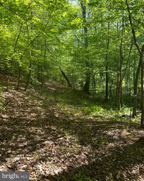 LOT 1 WALLACE STREET, Warsaw, VA 22572