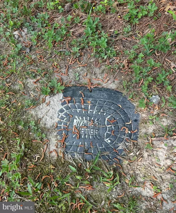 Warsaw, VA 22572,LOT 1 WALLACE STREET