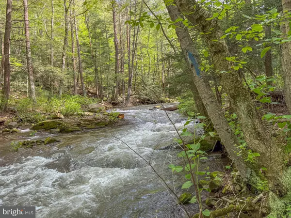 Swanton, MD 21561,SPRING LICK RD