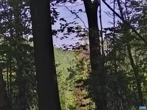 Syria, VA 22743,TBD OLD BLUE RIDGE TPKE