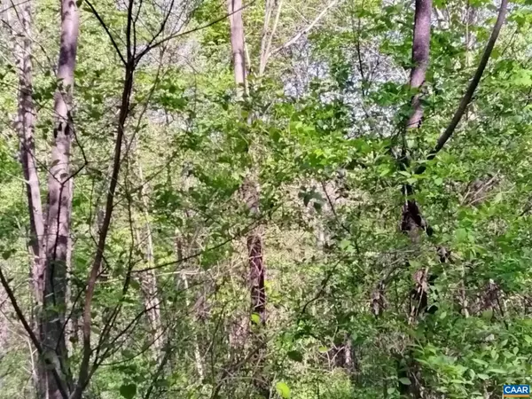 Syria, VA 22743,TBD OLD BLUE RIDGE TPKE