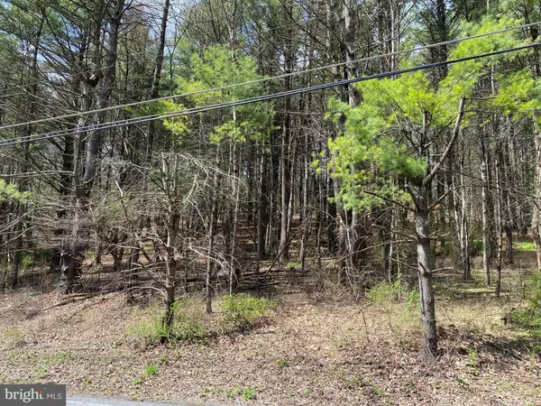 Kunkletown, PA 18058,0 LOT # 2 HANEY RD