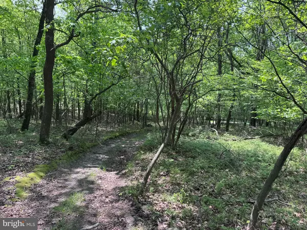 Philipsburg, PA 16866,0 HONEYSUCKLE LN