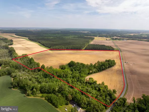 BUCKTOWN RD, Cambridge, MD 21613