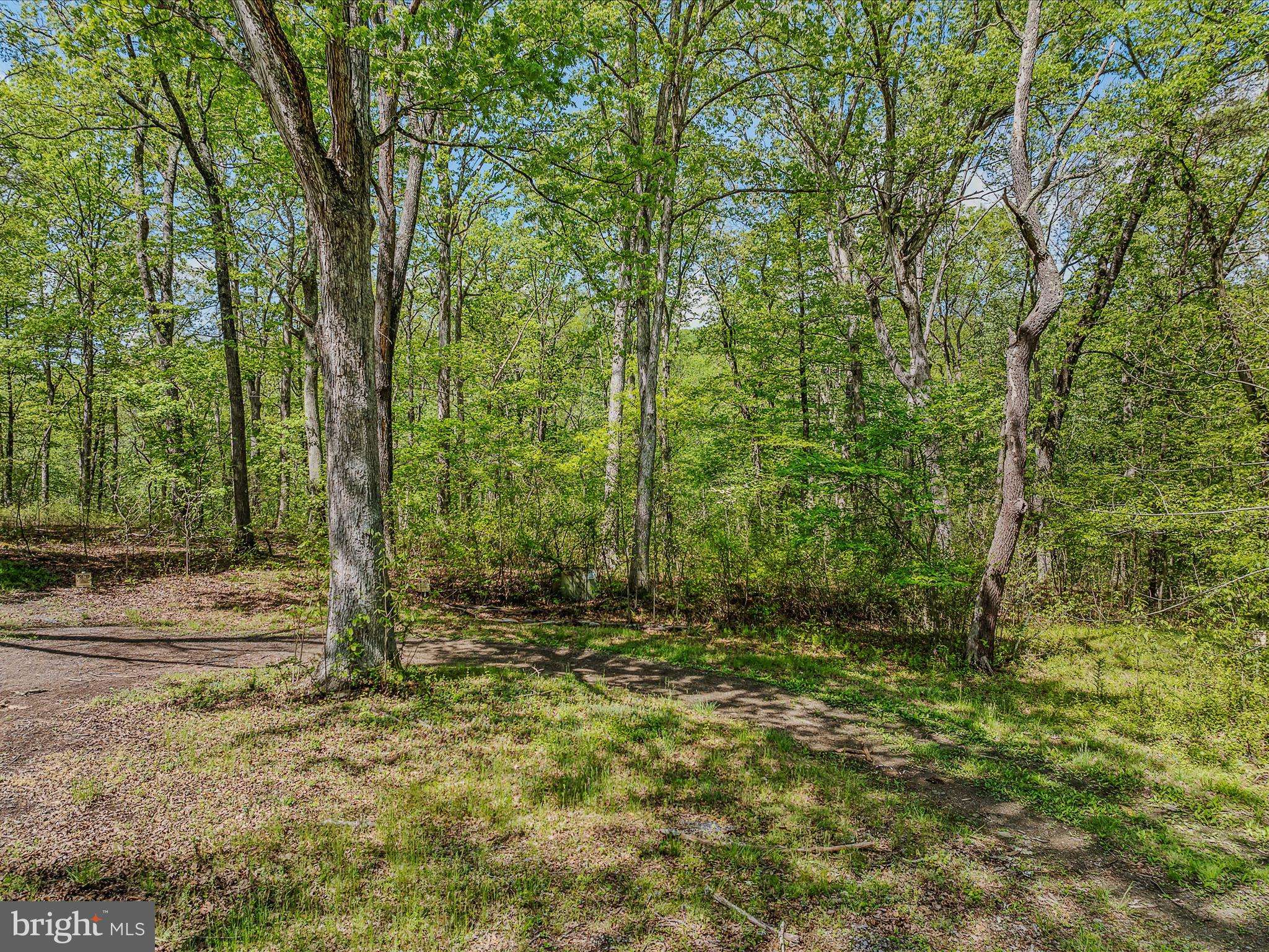 Paw Paw, WV 25434,VISTA RIVER ROAD