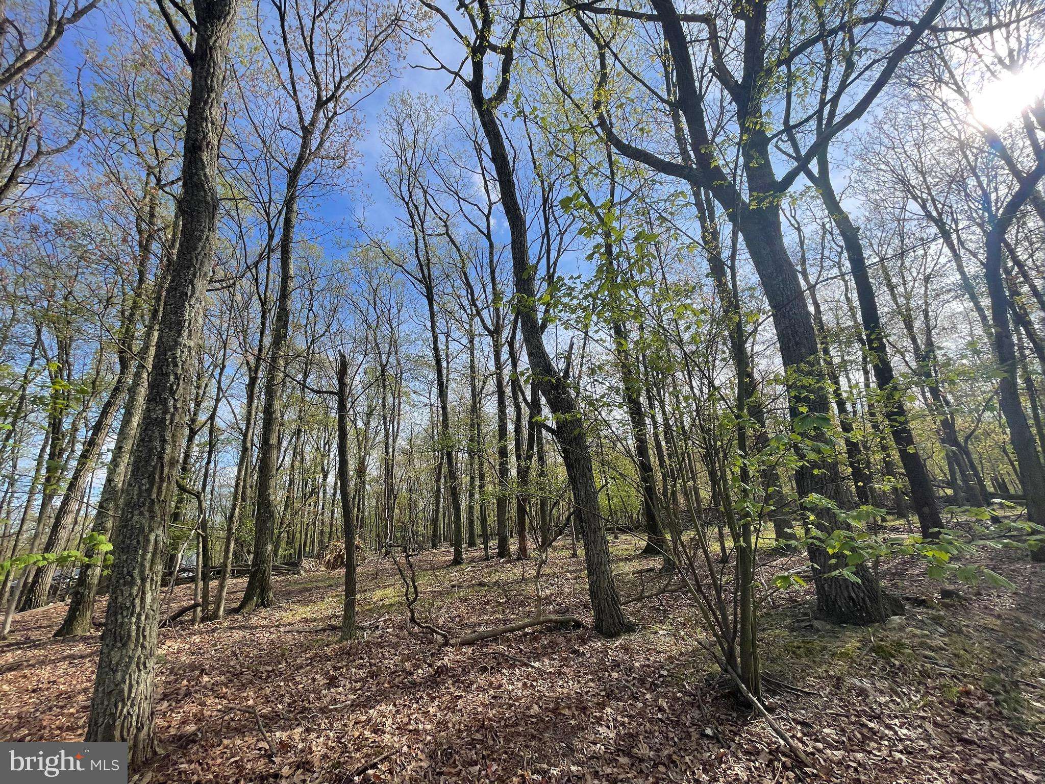 Zion Grove, PA 17985,305 MOUNTAIN SNOW CIRCLE