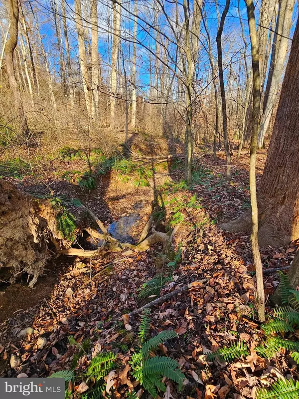 WAUGH RD, Unionville, VA 22567