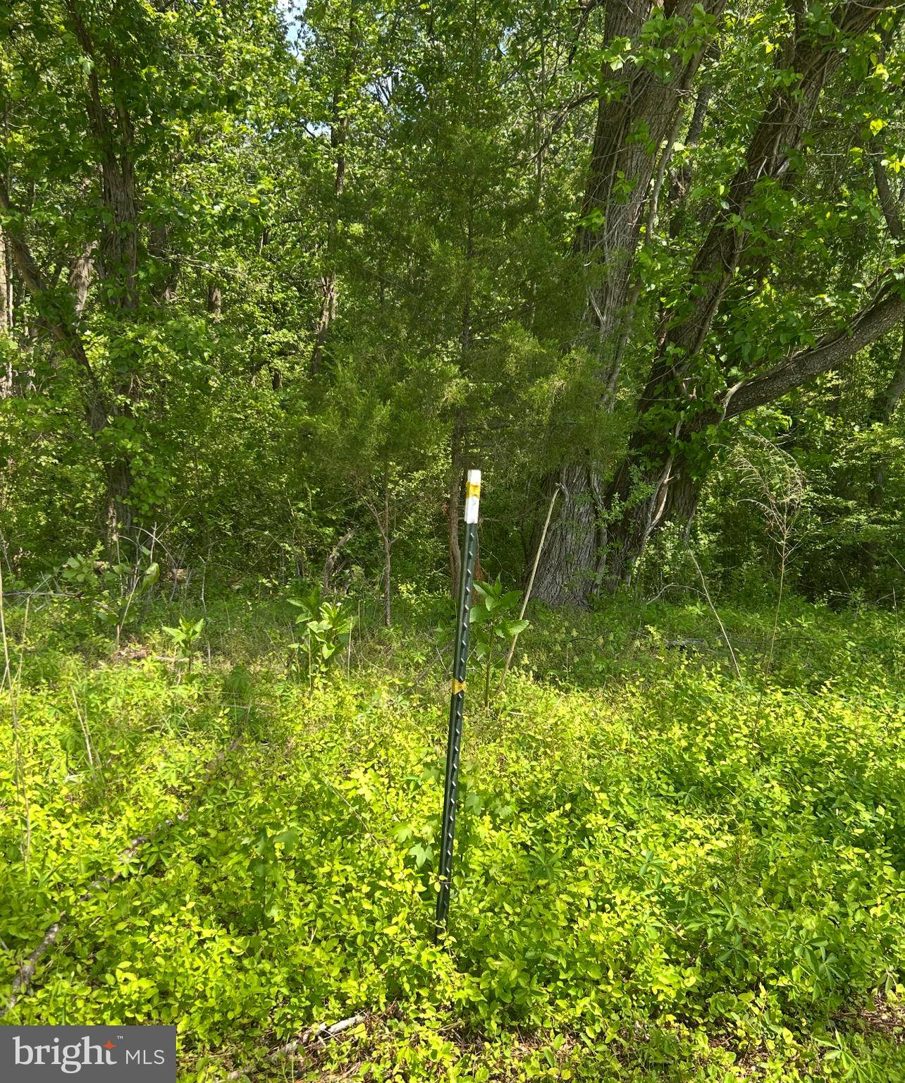 Montross, VA 22520,LOT 2B KINGS HWY