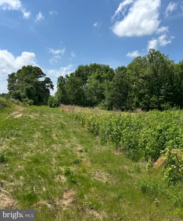 Montross, VA 22520,LOT 2B KINGS HWY