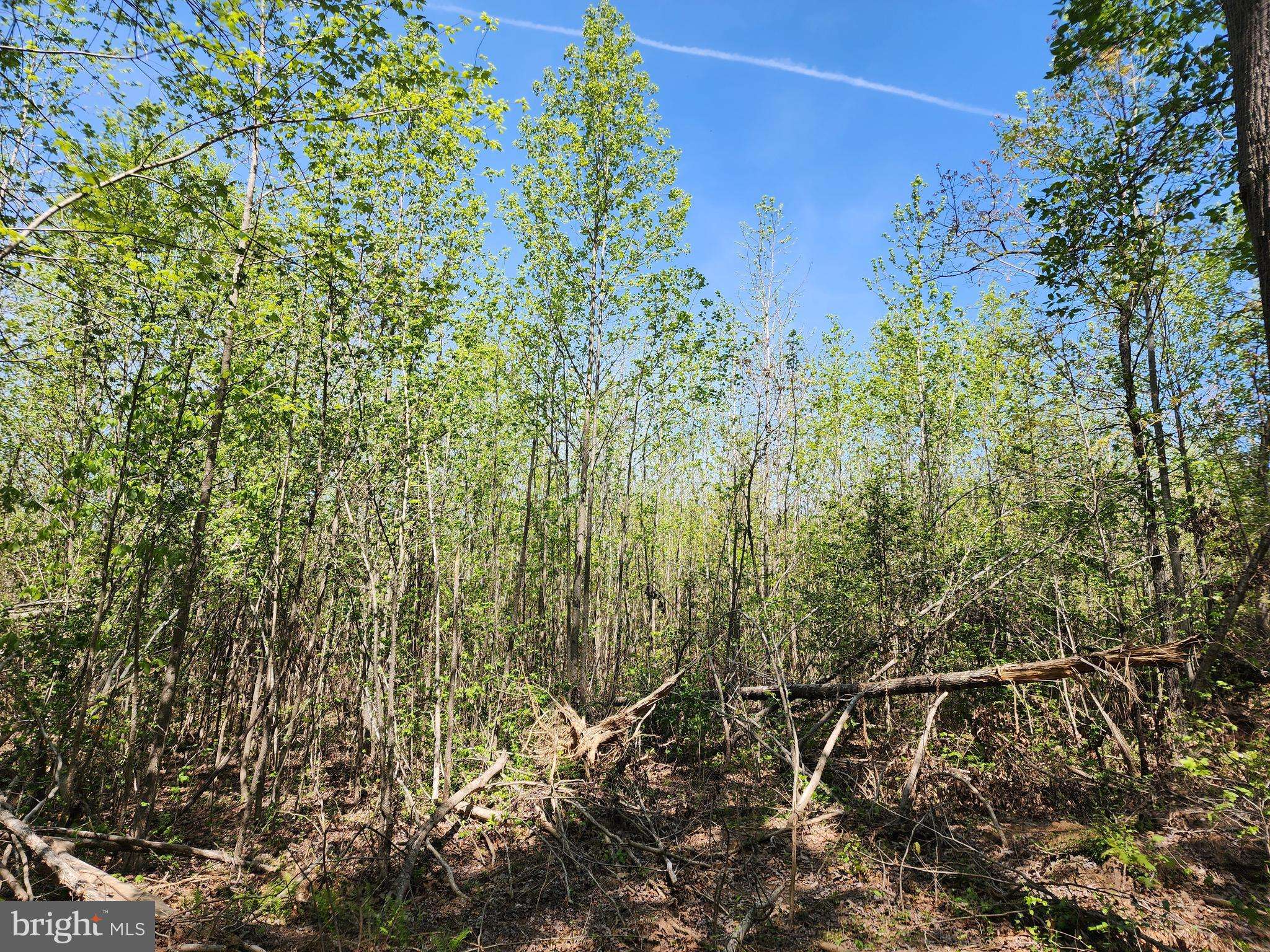 Spotsylvania, VA 22551,LOT 3 MASSEY RD