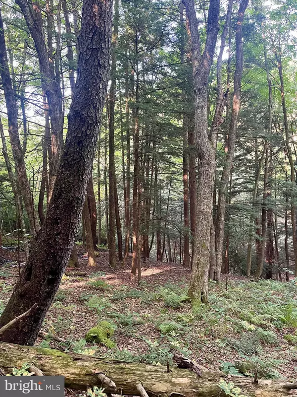 Beech Creek, PA 16822,6 BEECH CREEK MOUNTAIN RD