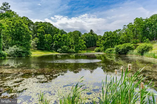 Berkeley Springs, WV 25411,1276 BIRCH GROVE LN