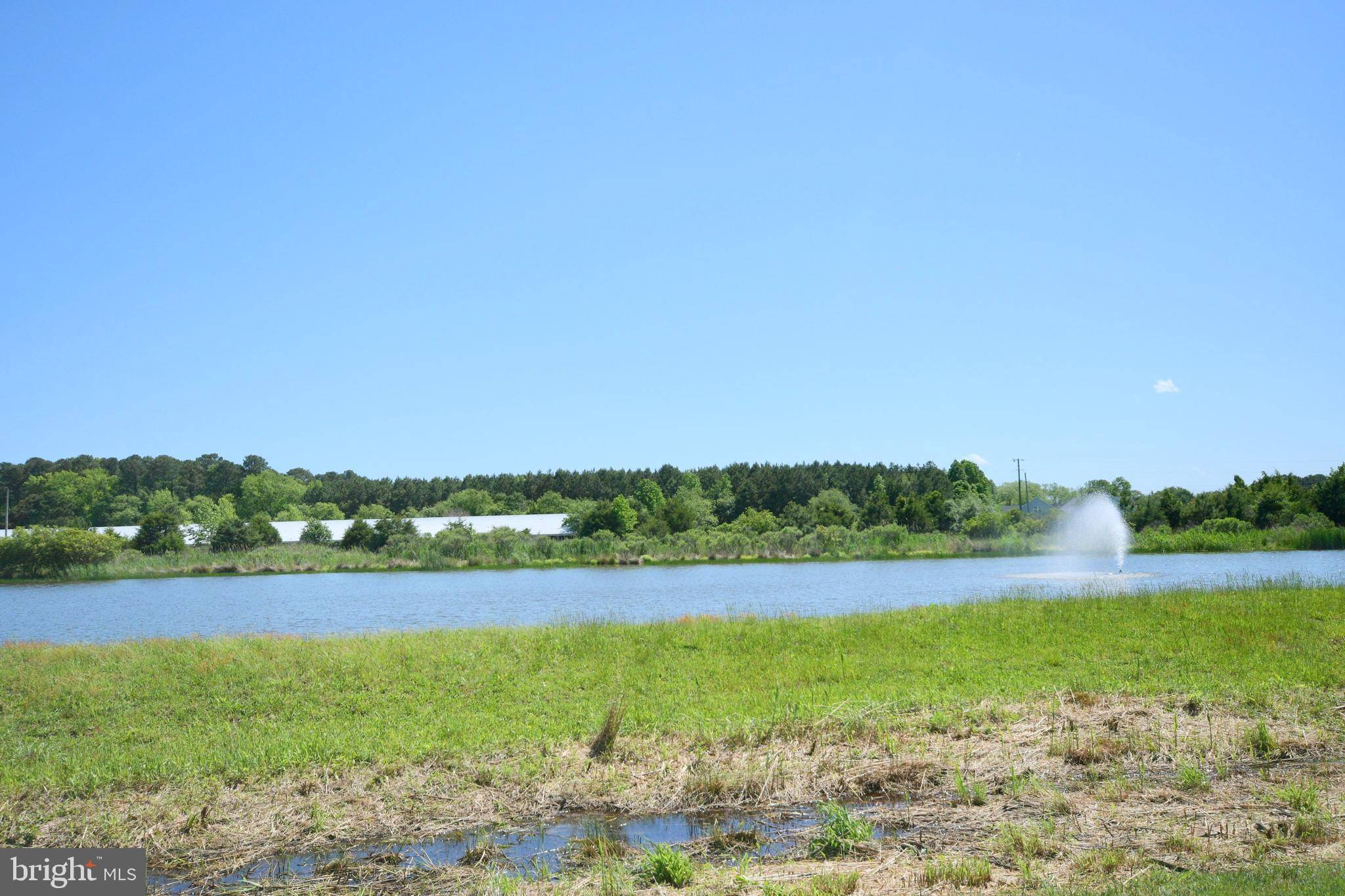 Selbyville, DE 19975,38918 BLUE INDIGO RD