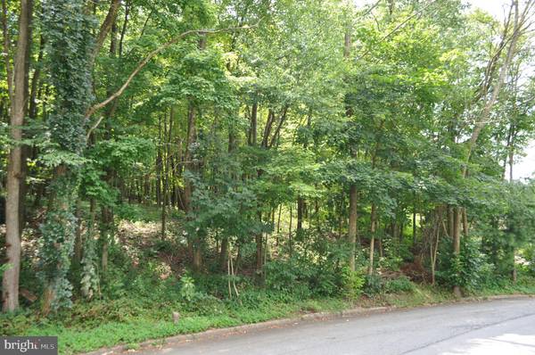 Pottsville, PA 17901,0 MAHANTONGO DR