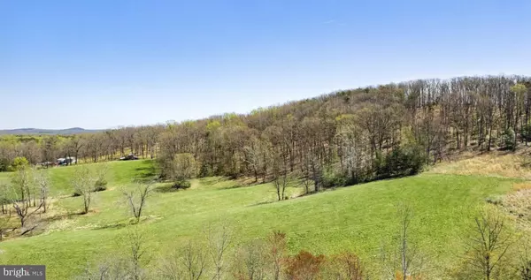 Reva, VA 22735,LOT 1 HOLLY HILL FARM LANE