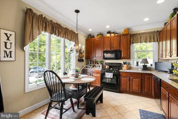 Strasburg, VA 22657,236 STONY POINTE WAY