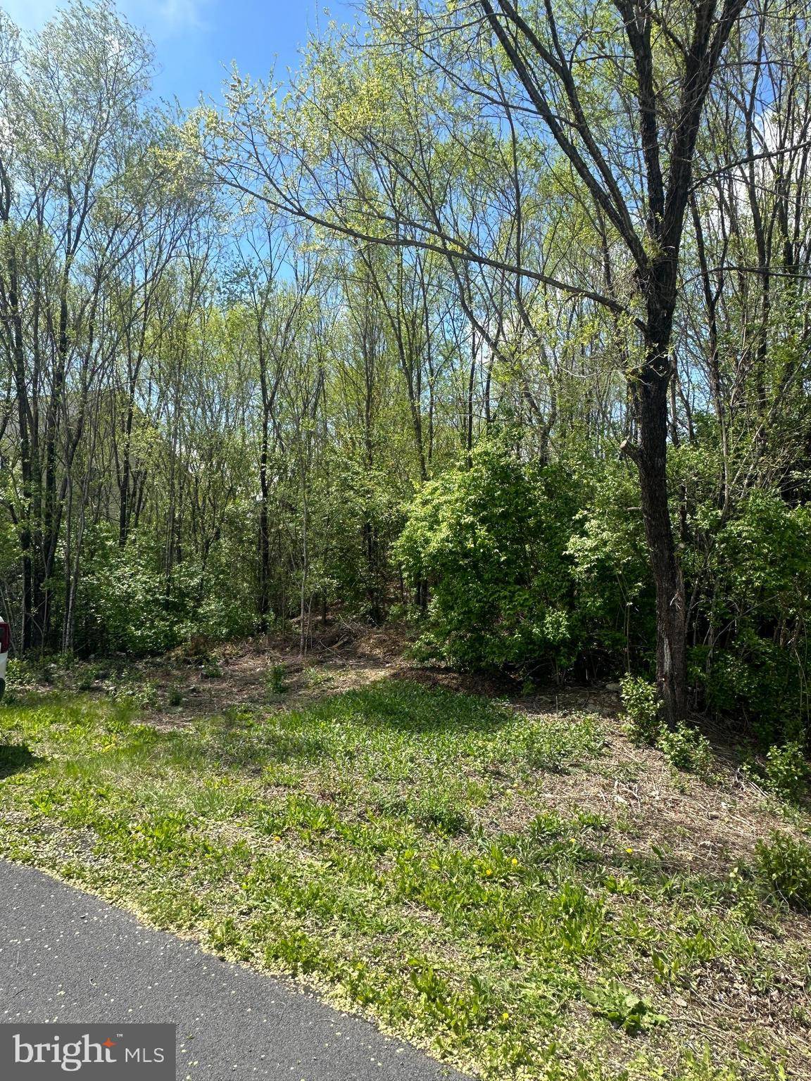 Martinsburg, WV 25405,0 TEAL ROAD N