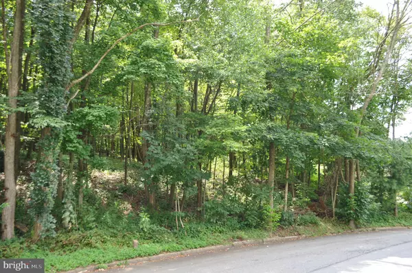 Pottsville, PA 17901,0 MAHANTONGO DR