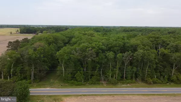 Felton, DE 19943,LOT 11 CEDAR GROVE CHURCH RD