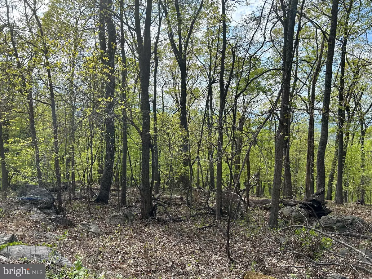 Chester Gap, VA 22623