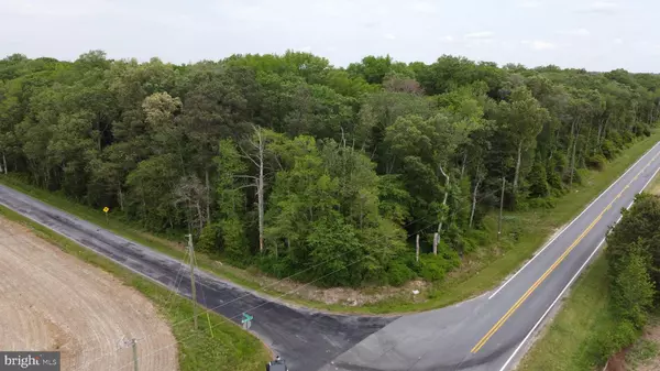 Felton, DE 19943,LOT 19 BURNITE MILL RD