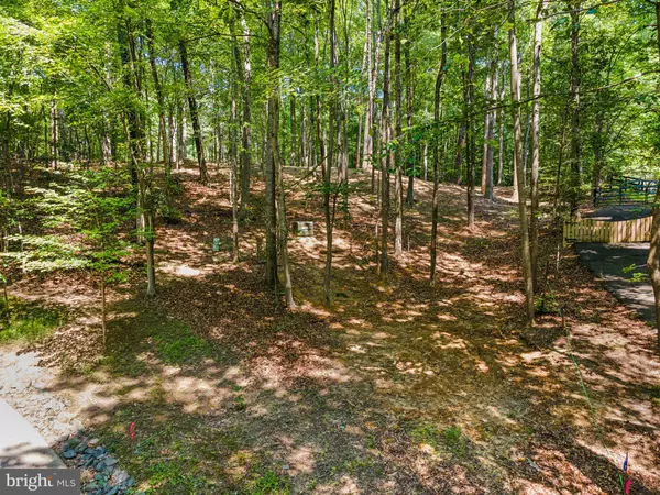 Clifton, VA 20124,12636 MILL DAM DR