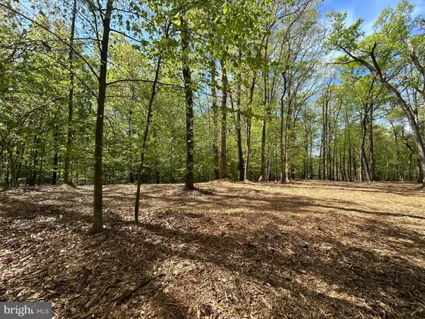 Clifton, VA 20124,12636 MILL DAM DR