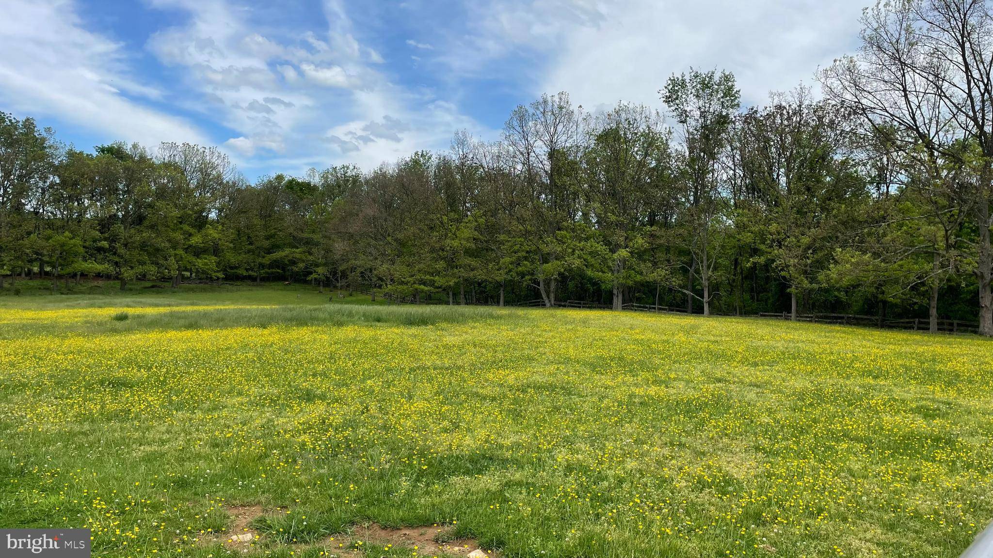 Bluemont, VA 20135,19240 WALSH FARM LN