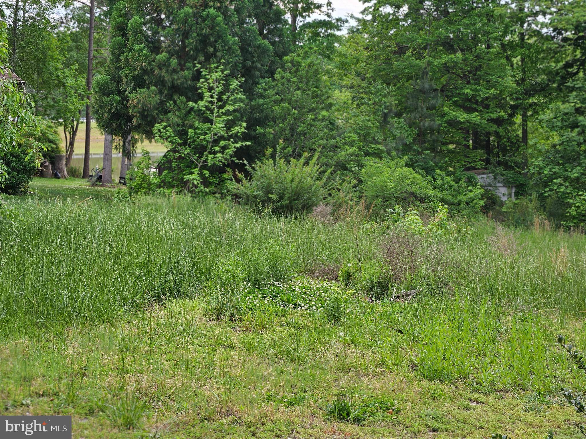 Ruther Glen, VA 22546,209 REMINGTON DR