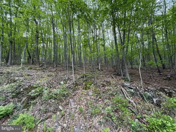 Bedford, PA 15522,0 CHERRY RUN ROAD
